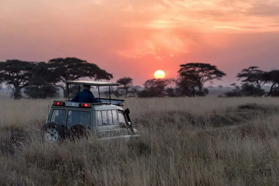 Wildlife on the African savanna