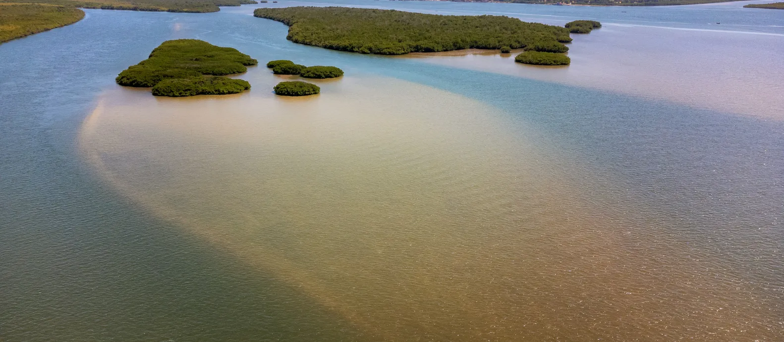 Tana River Estuary
